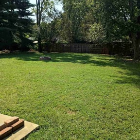 turf maintenance by Geon Woo Kim reviewed on February 19, 2024