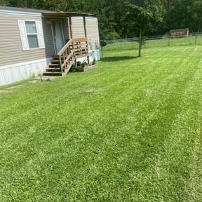 yard work by She Cutz &amp; Crafts reviewed on December 18, 2025