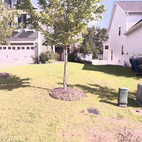 landscaping services by Tilted services reviewed on November 20, 2025