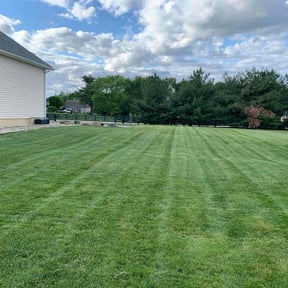 yard care by Reil Lawn Company LLC reviewed on January 27, 2026