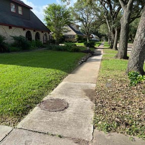 landscaping services by Alex lawn care reviewed on December 9, 2025