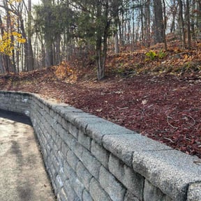 Leaf Removal by Tovar Landscaping reviewed on November 25, 2025