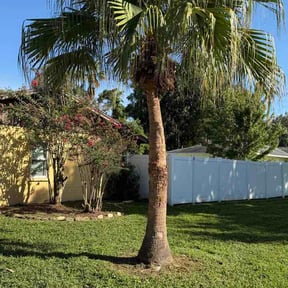 Bush Trimming by Luckys Lawn Care reviewed on September 3, 2026