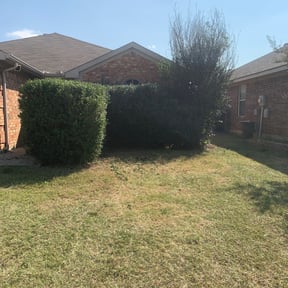 Bush Trimming by Re Image lawn care reviewed on August 18, 2025