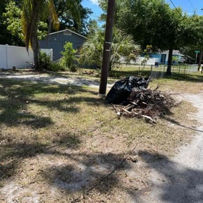 Leaf Removal by Dr. Green Lawn LLC reviewed on September 22, 2025