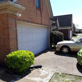 Bush Trimming by Jtdps lawn services reviewed on August 18, 2025