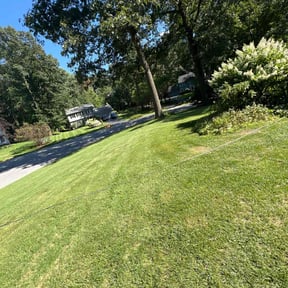 turf maintenance by Clay's Lawn Service reviewed on March 6, 2024