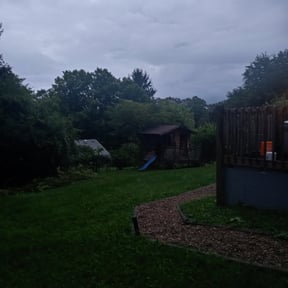 Bush Trimming by Eagle Lawn Care reviewed on August 17, 2025