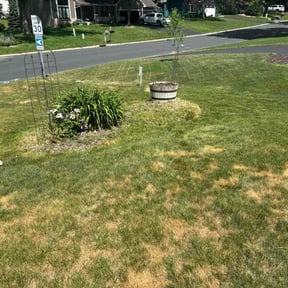 Flower Bed Weeding by Home Care by The Beach LLC reviewed on June 7, 2026