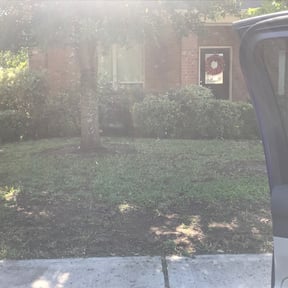 Bush Trimming by SOCAL LANDSCAPE LIMITED LIABILITY CO reviewed on August 15, 2025