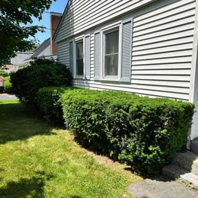 Bush Trimming by Tru Lawn Cuts LLC reviewed on August 15, 2025