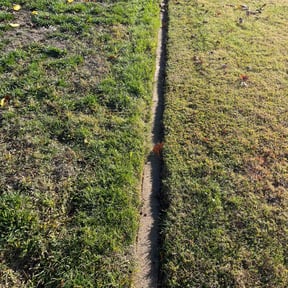 lawn care by Juan Rodriguez reviewed on April 27, 2024