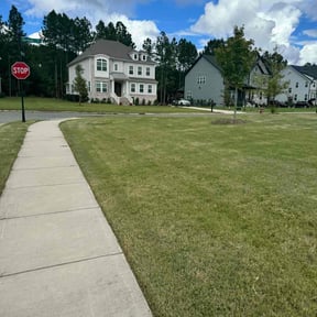 lawn care by Scotton Landscaping reviewed on September 4, 2024