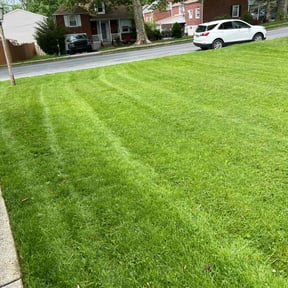 yard service by WaterLoo Tree, Lawn and Landscape reviewed on August 17, 2025