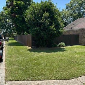 yard work by GreenMan Lawns reviewed on August 18, 2025