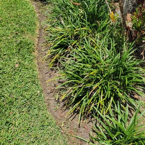 Flower Bed Weeding by Reel Mowers reviewed on August 21, 2025