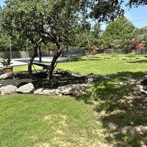 grass maintenance by Mattox lawn service reviewed on March 17, 2024