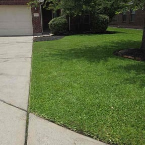 gardening service by Burgeons Landscaping & Lawn Care Inc. reviewed on August 21, 2025
