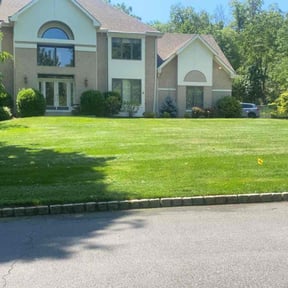 yard maintenance by Mr. Mow it all reviewed on August 17, 2025