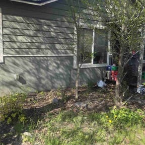 Bush Trimming by Superior lawn maintenance reviewed on August 20, 2025