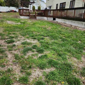 Leaf Removal by Ellis Lawn Care LLC reviewed on September 12, 2025