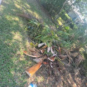 Bush Trimming by RS landscaping LLC reviewed on April 19, 2026