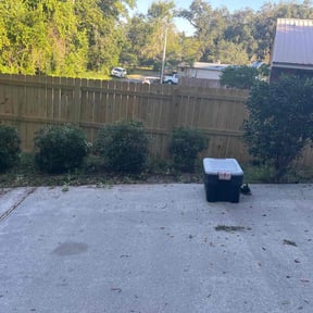 Bush Trimming by Patriot Lawn reviewed on October 22, 2025