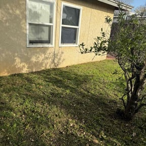 turf maintenance by Good Guys Lawn and Fence reviewed on April 6, 2024