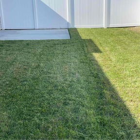 lawn maintenance by Elite Lawn Care reviewed on April 23, 2024