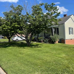 lawn care by J&amp;M Landscaping reviewed on July 2, 2025