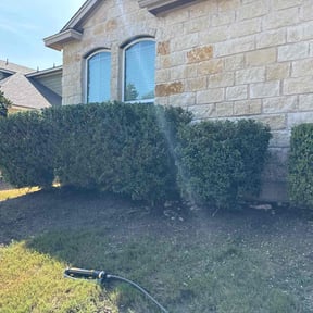 Bush Trimming by CSM Property Maintenance reviewed on January 1, 2026