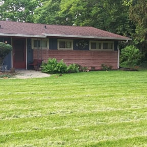 Bush Trimming by Integrity Lawn Care reviewed on August 19, 2025