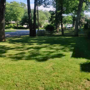 grass maintenance by G. Green Lawns reviewed on June 1, 2024