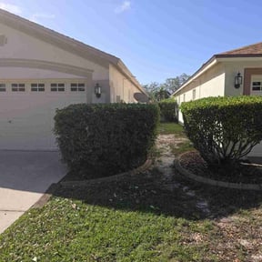 Bush Trimming by DTE Maintenance Llc reviewed on August 18, 2025