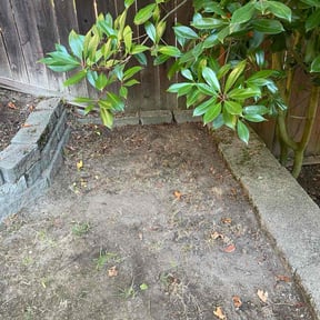 Leaf Removal by ZKZ Landscape &amp; Design reviewed on November 6, 2025