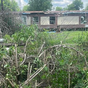 Bush Trimming by CWP outdoor services reviewed on May 8, 2026