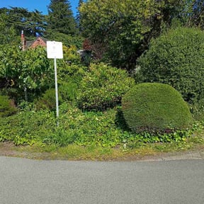 Bush Trimming by Nathan's lawn and landscaping llc reviewed on June 15, 2026