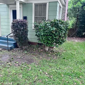 Bush Trimming by Crews Lawn Care reviewed on May 10, 2026