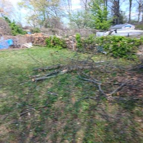 Bush Trimming by Service Squad L.L.C. reviewed on April 8, 2026