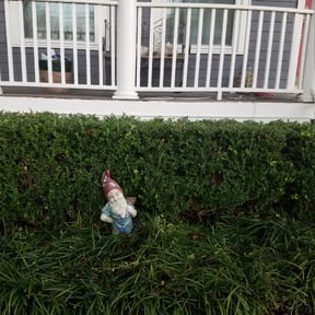 Bush Trimming by Go Green Electric Lawncare reviewed on August 18, 2025