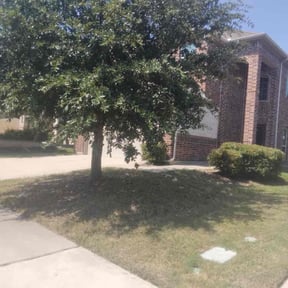 Bush Trimming by Martinez lawn care reviewed on November 21, 2025