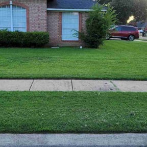 landscaping services by StylePro LLC reviewed on August 19, 2025