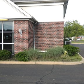 Flower Bed Weeding by Freedom Lawn Care reviewed on August 15, 2025