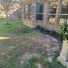 Bush Trimming by lawn care reviewed on August 20, 2025