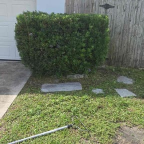 Bush Trimming by Sbm reviewed on December 17, 2025