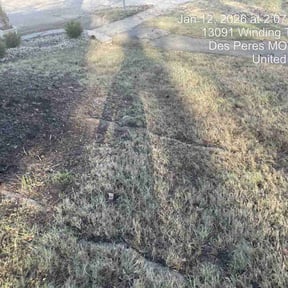 Leaf Removal by Jay's Resource reviewed on February 20, 2026