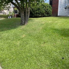 landscape maintenance by James mallet reviewed on August 16, 2025