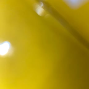 Bush Trimming by Stanley&#039;s Clean cuts inc reviewed on August 8, 2025