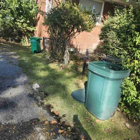 Leaf Removal by Zac of All Trades reviewed on September 13, 2025