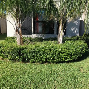 Bush Trimming by R&T lawncare reviewed on August 16, 2025